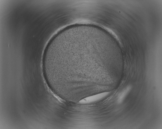 X0000073521327200608281723