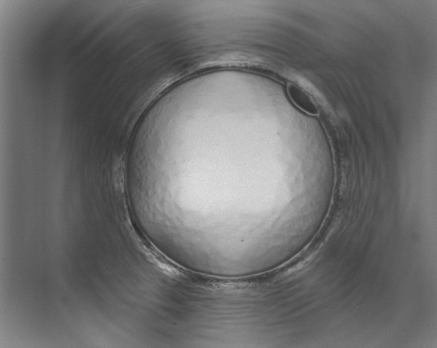 X0000073521329200608281723