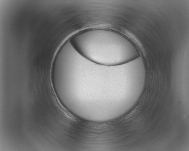 X0000073521332200608281723