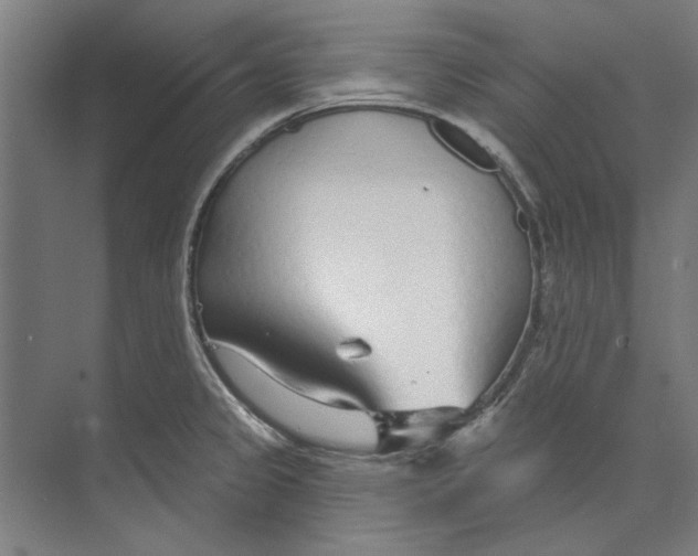 X0000073521333200608281723