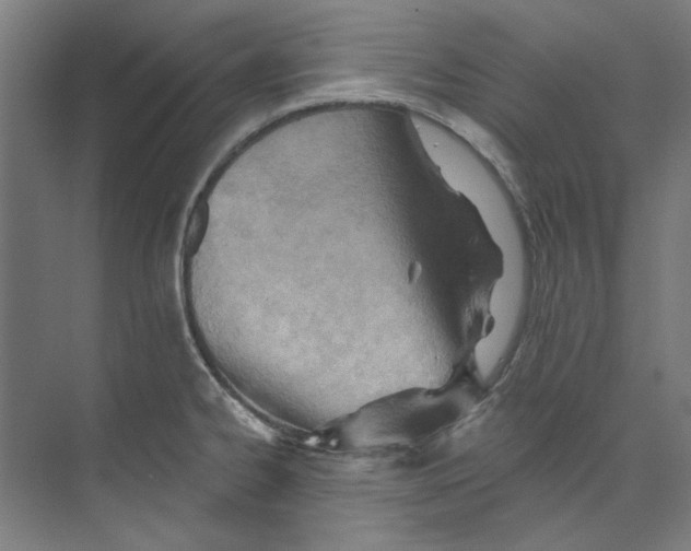 X0000073521334200608281723