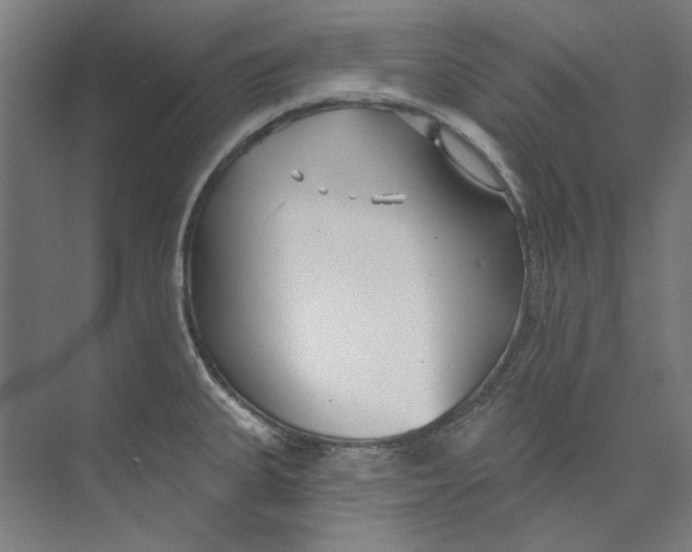 X0000073521335200608281723