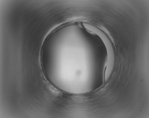 X0000073521336200608281723