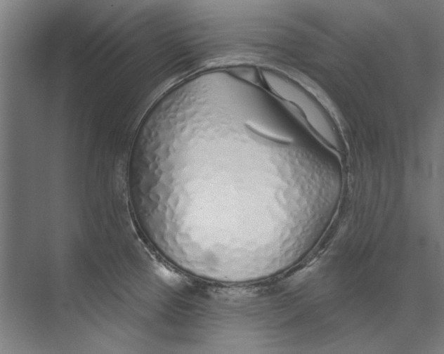 X0000073521337200608281723