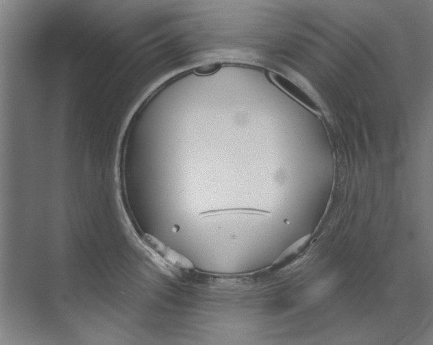 X0000073521339200608281723