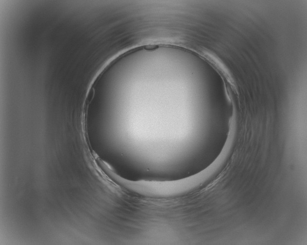 X0000073521340200608281723