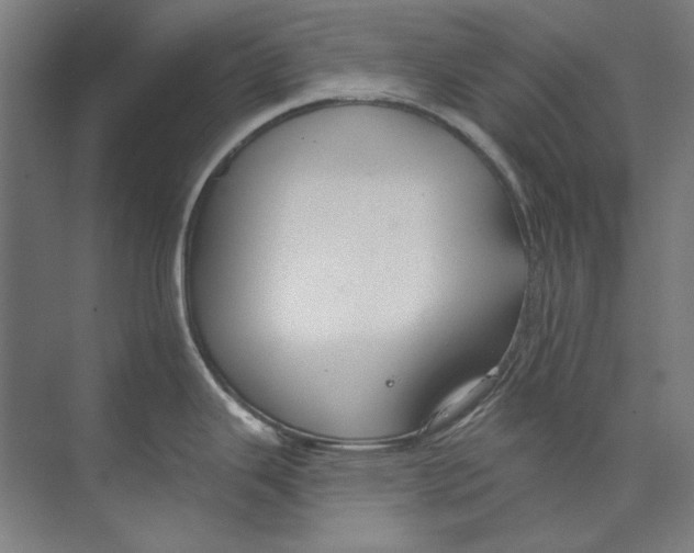 X0000073521343200608281723