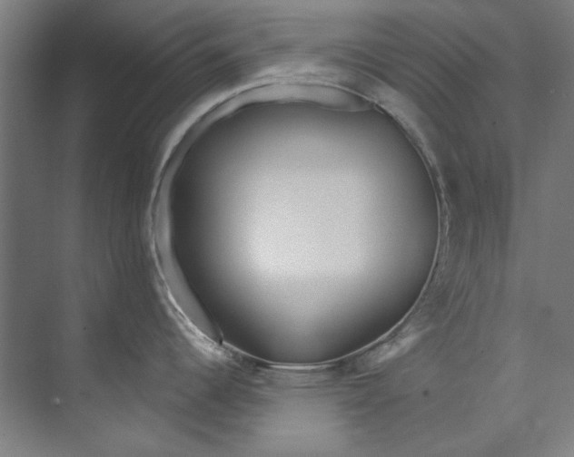 X0000073521344200608281723