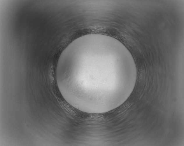 X0000073521346200608281722