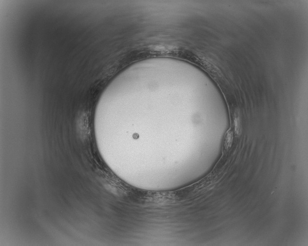 X0000073521347200608281722