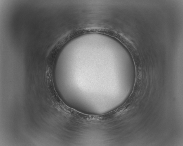 X0000073521351200608281722