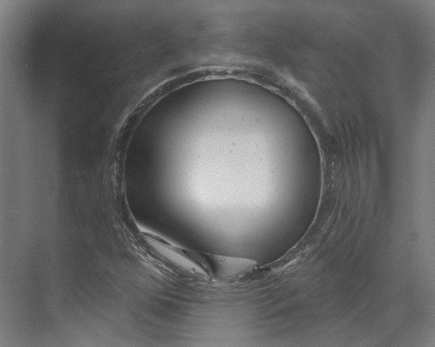 X0000073521352200608281722