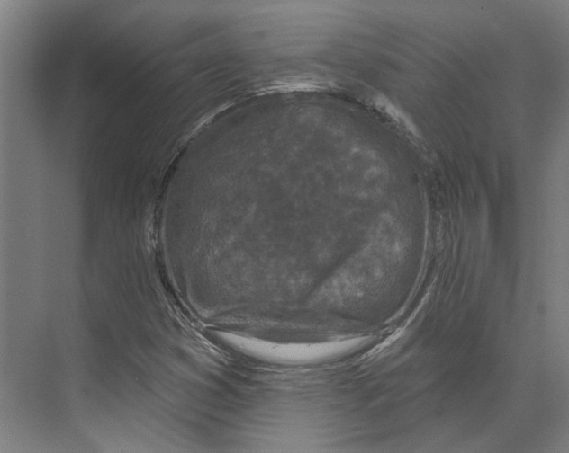 X0000073521353200608281722