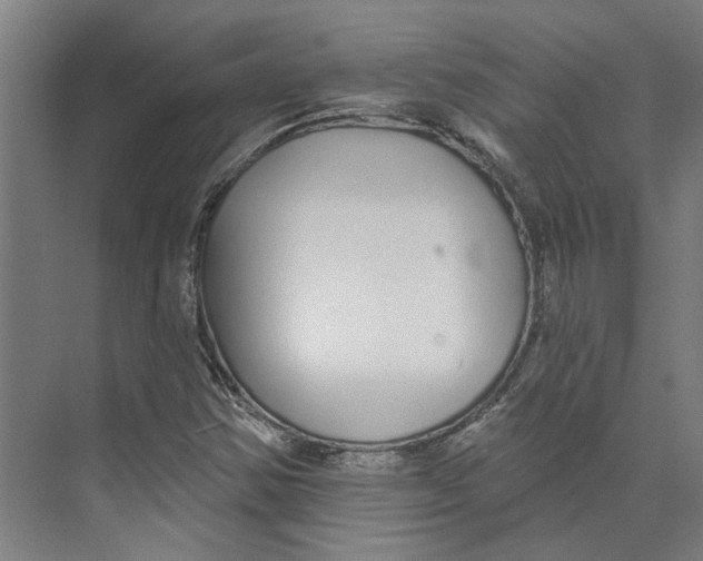 X0000073521354200608281722