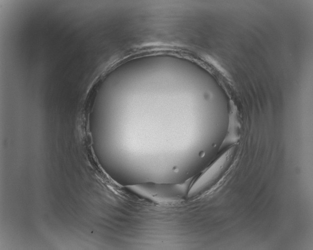 X0000073521357200608281722