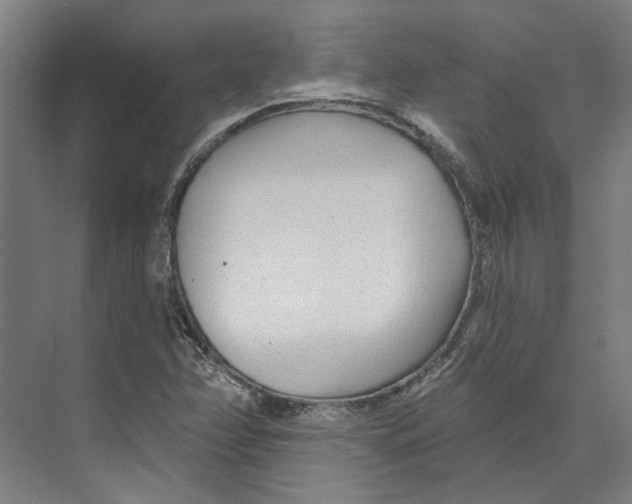 X0000073521358200608281722