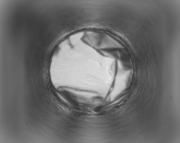 X0000073521359200608281722