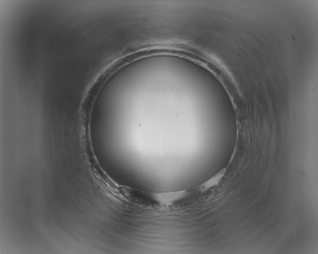 X0000073521360200608281722