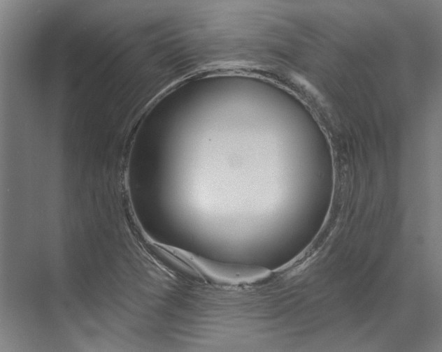 X0000073521361200608281722