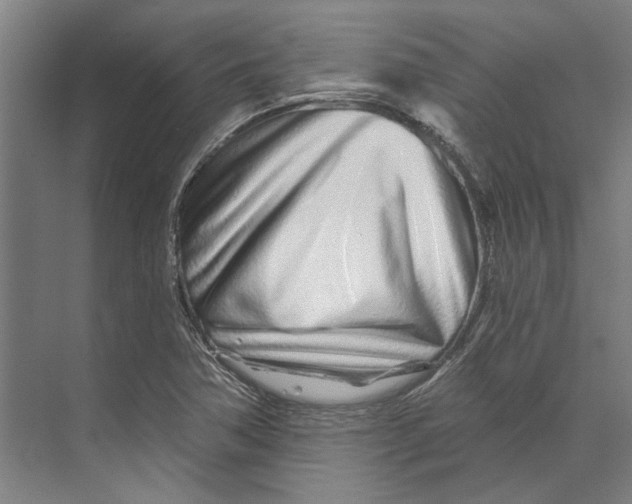 X0000073521362200608281722