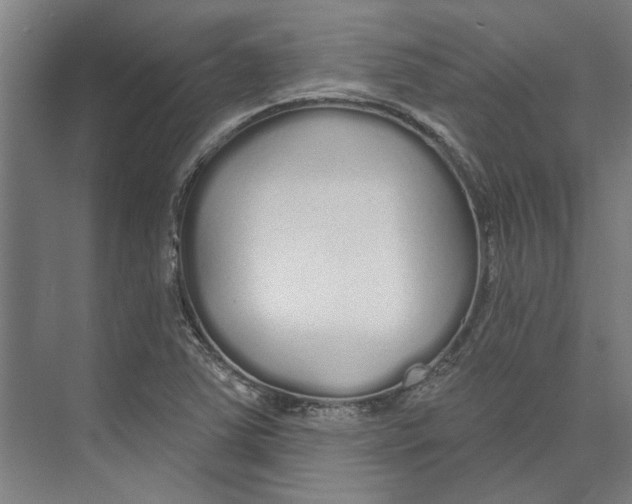 X0000073521363200608281722