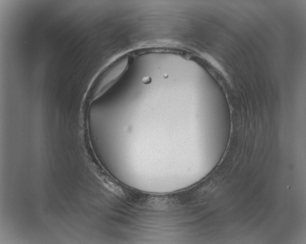 X0000073521364200608281722