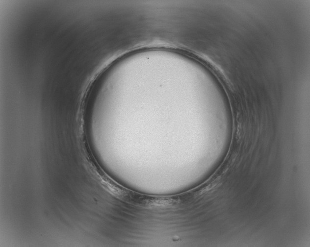 X0000073521367200608281722