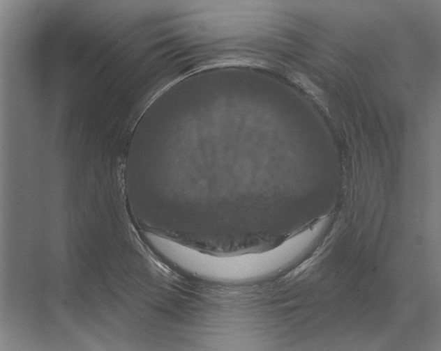 X0000073521369200608281722