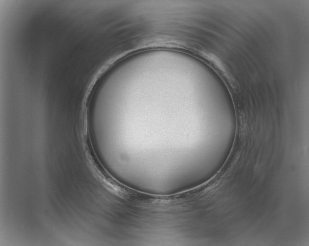 X0000073521371200608281722