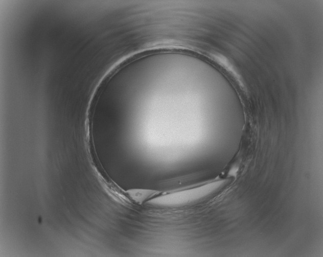 X0000073521372200608281722