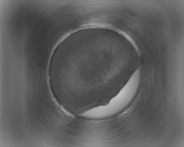 X0000073521373200608281722