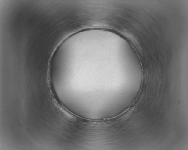 X0000073521374200608281722