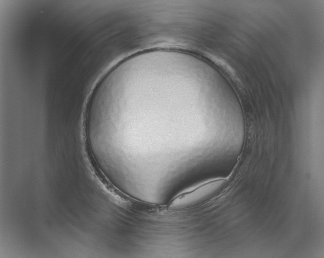 X0000073521375200608281722