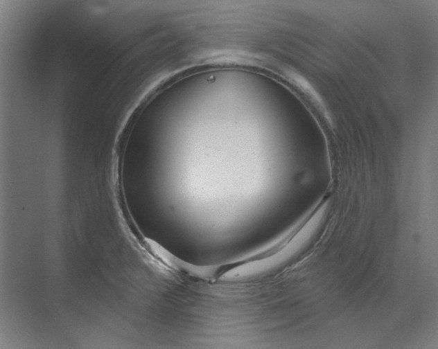 X0000073521376200608281722