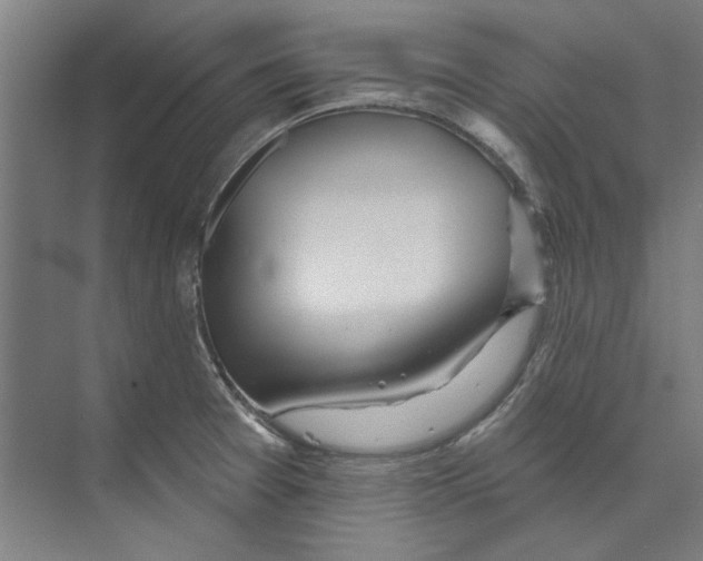 X0000073521377200608281722