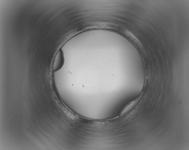 X0000073521378200608281722