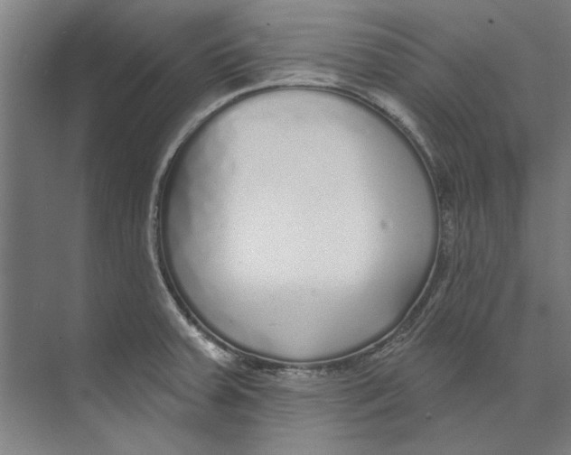 X0000073521379200608281722