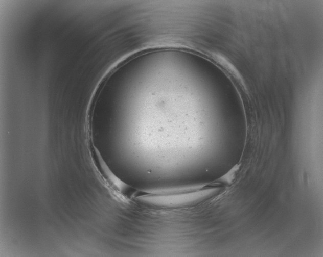 X0000073521380200608281722