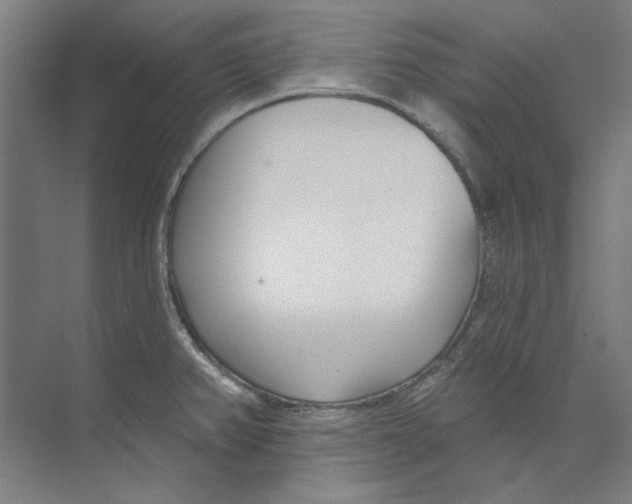 X0000073521382200608281722