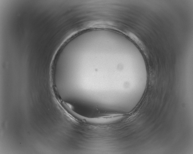 X0000073521384200608281722