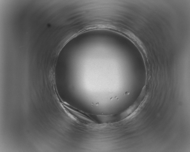 X0000073521385200608281722