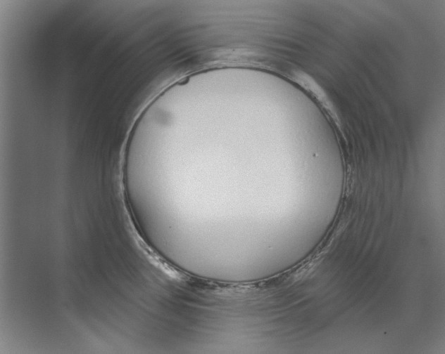 X0000073521386200608281722