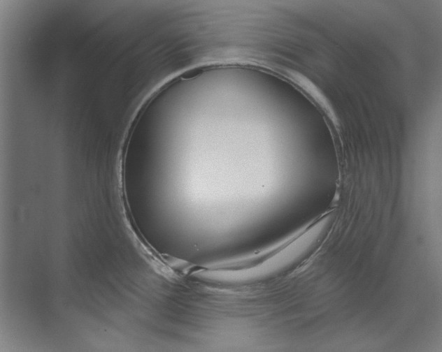 X0000073521388200608281722