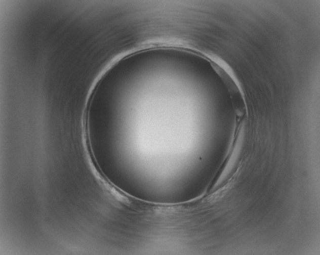 X0000073521389200608281722