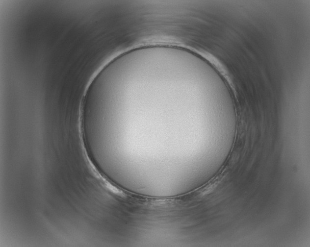 X0000073521390200608281722