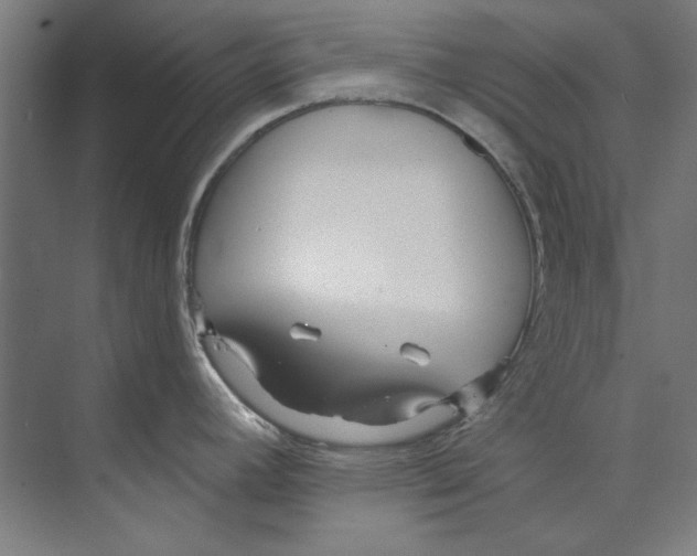 X0000073521392200608281722