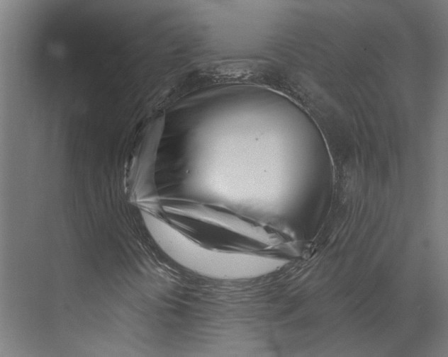 X0000073521394200608281721