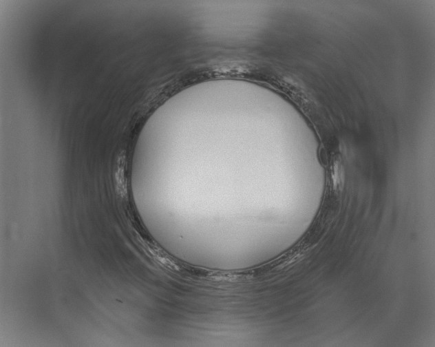 X0000073521396200608281721