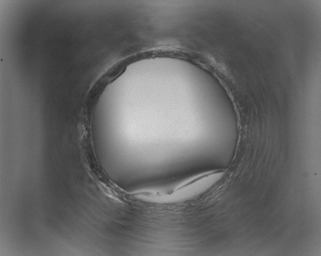 X0000073521400200608281721