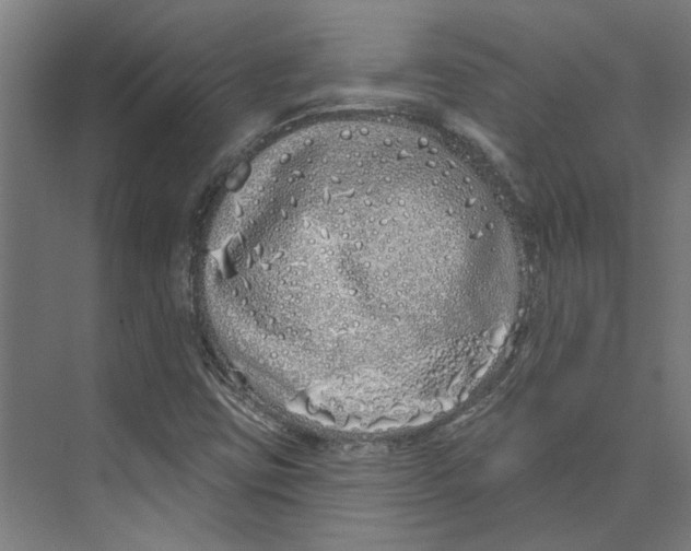 X0000073521403200608281721